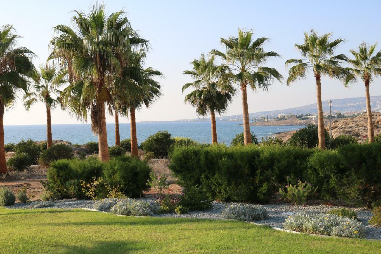 Yulya Villa By Taimoura Paphos Exteriör bild