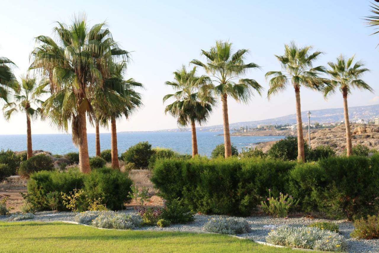 Yulya Villa By Taimoura Paphos Exteriör bild