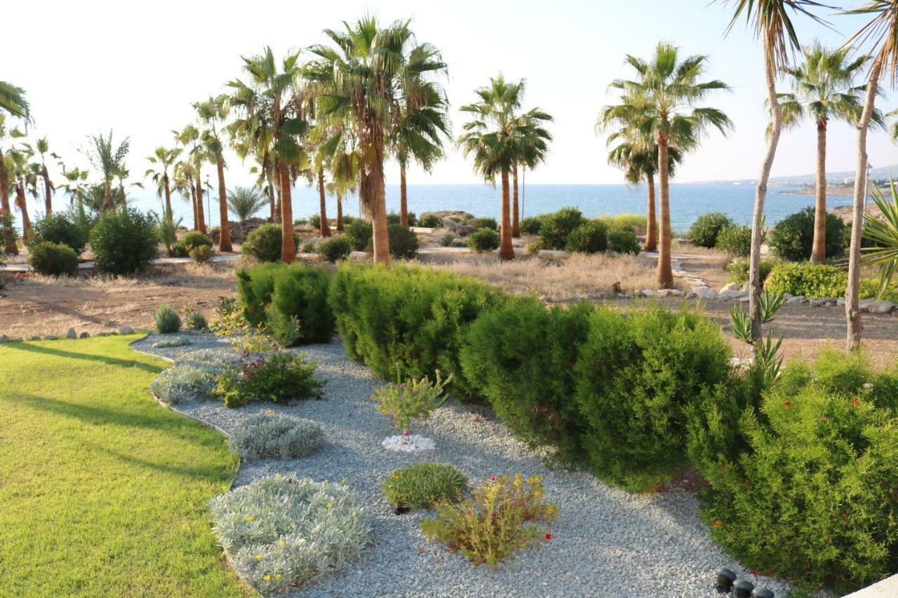 Yulya Villa By Taimoura Paphos Exteriör bild