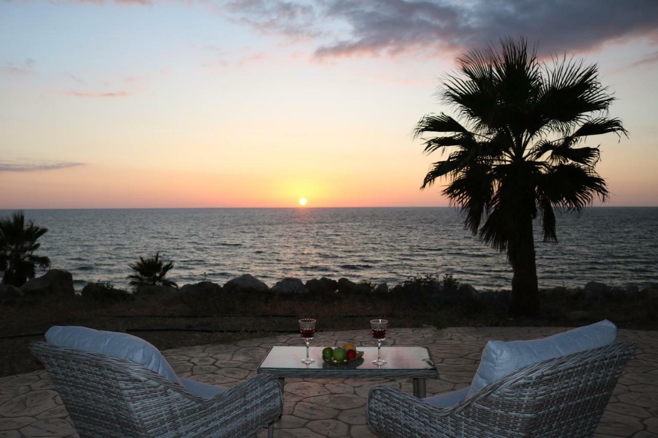 Yulya Villa By Taimoura Paphos Exteriör bild